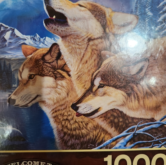 Puzzle - Picture 5 of 8